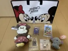 ディズニーストア　福袋　2025