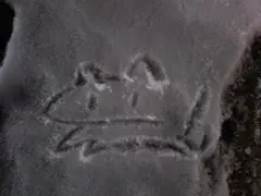 miya様 専用ページ