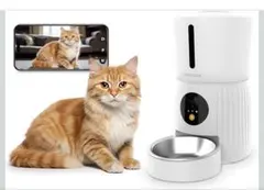 Item thumbnail for item da39d1eb-13fa-409f-89ab-8c9091fc5900