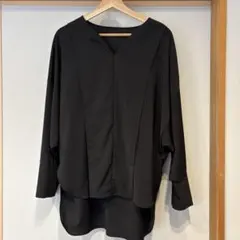 ADORE アドーア ライトジョーゼットブラウス　クリーニング済み　美品　即決⭕️のサムネイル