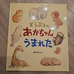 Item thumbnail for item 250d3dd3-bd91-45cd-b753-e5e3ddb082b6