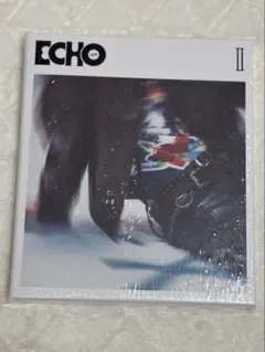 【新品未開封】BTS JIN ECHO II