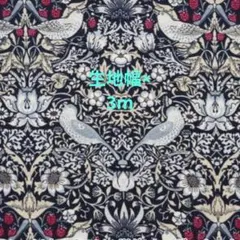 3m ストロベリーシーフ 紺×赤 モダファブリック