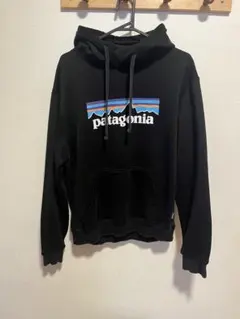 新品未使用タグ付patagonia ブラック パーカー Ｌ 2026年最新】patagonia メンズ パーカーの人気アイテム - メルカリ