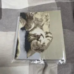 絵画織　ブックカバー　おめざめねこ　コミックB6版　猫　猫雑貨　未使用