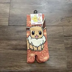 足袋ソックス　イーブイ　モダン　レディース（23～25cm）