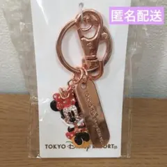 東京ディズニーリゾート　スワロフスキー　ミニー　キーチェーン