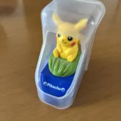 ポケットモンスター　プルバックカー