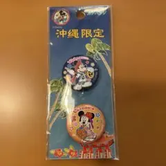 沖縄限定 ミッキー ミニー ピンバッジ 2個セット