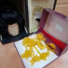 ＊　老舗　岡守　日本髪かつら　専用ケース付き 老舗 岡守 日本髪かつら 専用ケース付き 【公式通販】
