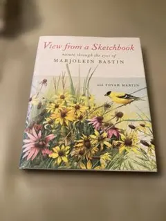 View from a Sketchbook