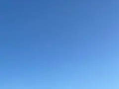 にこ様専用