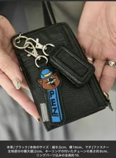 2026年最新】ear PAPILLONNER フラグメントケースの人気アイテム