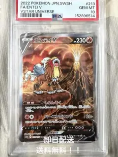 エンテイV SAR PSA10