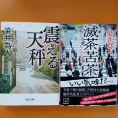 滅茶苦茶 震える天秤