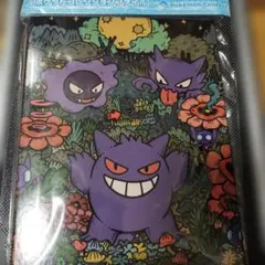 ポケモンカードゲームDP ドミノ・ピザ限定 プラ製デッキケース