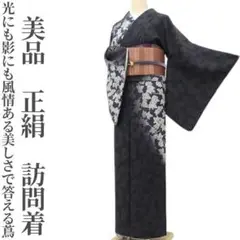 美品 正絹 着物“光にも影にも風情ある美しさで答える蔦”訪問着 P-96