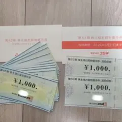 ビックカメラ＆コジマ　株主優待券　22000円
