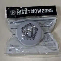 TEAM H グンサギアームペンライト TEAM H グンサギアームペンライト - メルカリ