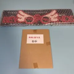 Item thumbnail for item 467826d6-3727-42dc-8000-482085a5c653