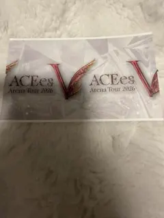 ACEes Arena Tour 2026V 半券⚠️1枚の値段 - メルカリ