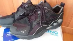 MIZUNO WAVE RIDER 1 29.0cm　ウェブライダー　ミズノ新品