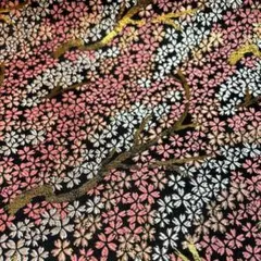 Item thumbnail for item eec21959-e9b7-422e-bbda-00c0084d196d