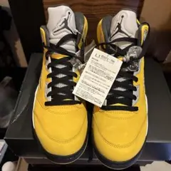 Nike Air Jordan 5 Retro 