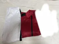 Item thumbnail for item 8cd15566-9488-462e-9be6-29710d28d297