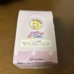アイカツ！アニメイト限定チャイナ 缶バッジ12種フルコンプ！【未