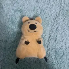 クオッカ ぬいぐるみ