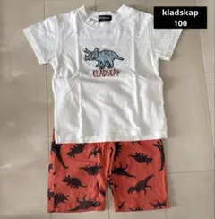 kladskap 100㎝　セット　恐竜　Tシャツ　ズボン　短パンのサムネイル