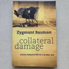 Collateral Damage: Zygmunt Bauman