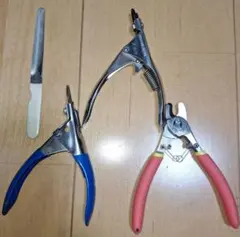 Item thumbnail for item 130a0400-2564-467b-a2f1-ae7dd3703d91