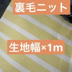 裏毛ニット生地　黄色×白キナリ系　ボーダー
