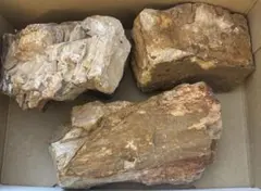 ちおひ様専用ページ