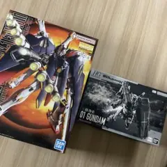 MGクロスボーンガンダムX1フルクロス+HGダブルオーダイバーエース