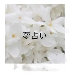 Item thumbnail for item 3621ab4a-1b4e-4301-a669-07b30539d085