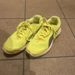 Item thumbnail for item 51372353-e9d7-49a7-a8e2-528ac9c69ab8