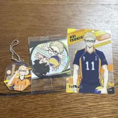 ハイキュー　月島蛍　アクキー　カード　シール　セット