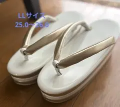 Item thumbnail for item bbf0167f-ee7c-4f81-8037-776192f8da02