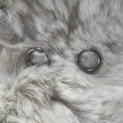 ピアス サージカルステンレス