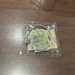 ファグラー ワイヤーキーリング ガチャ