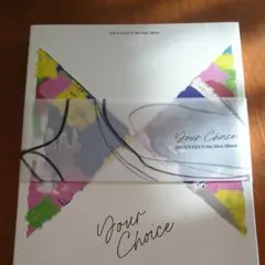 【美品】SEVENTEEN  Your Choice ONESIDEヴォーカル