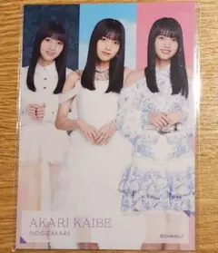 【海邉朱莉】個別フォトカード 乃木坂46