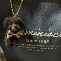 羊毛フェルト 毛糸 トイプードル（レッド）大きめ❣️23cm 羊毛フェルト ＋毛糸 トイプードル レッド ハンドメイド 犬