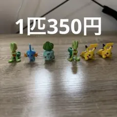 ポケモン ミニフィギュア バラ売り可能　チョコエッグ　旅立ちの3匹