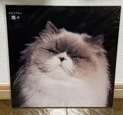 【未開封】カネコアヤノ 「よすが」 LPレコード よすが(LP)/Kaneko Ayano/カネコアヤノ｜日本のロック｜ディスク