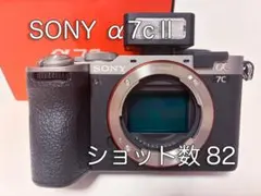 2026年最新】α7CII バッテリーの人気アイテム - メルカリ