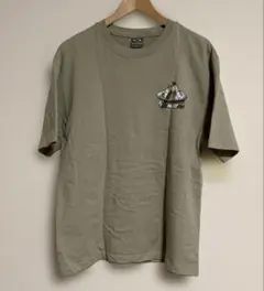 Item thumbnail for item fcd9d4d4-d74a-4445-b486-ff7875acab3e